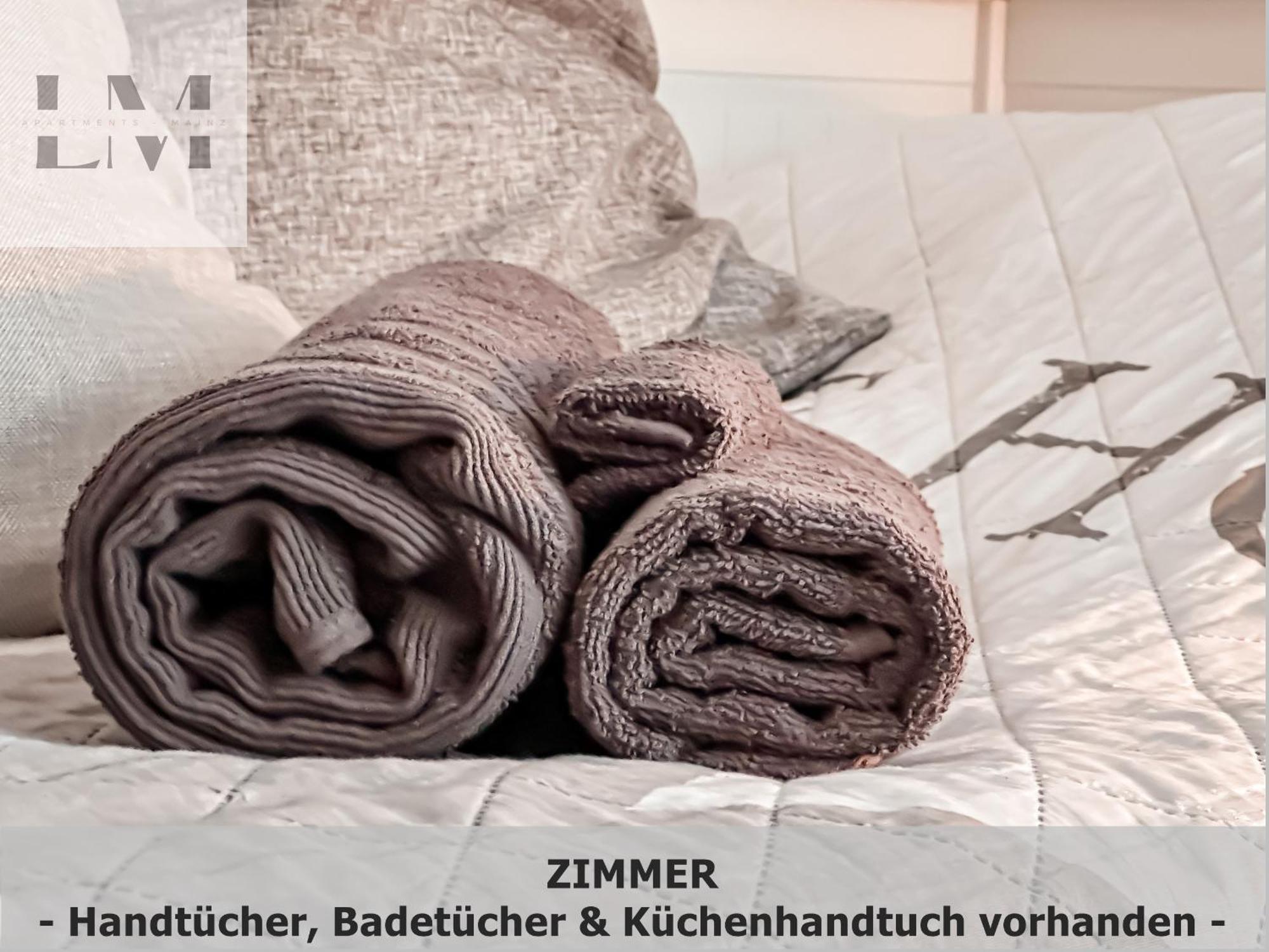 Lm-Apartmentsmainz-01 Экстерьер фото